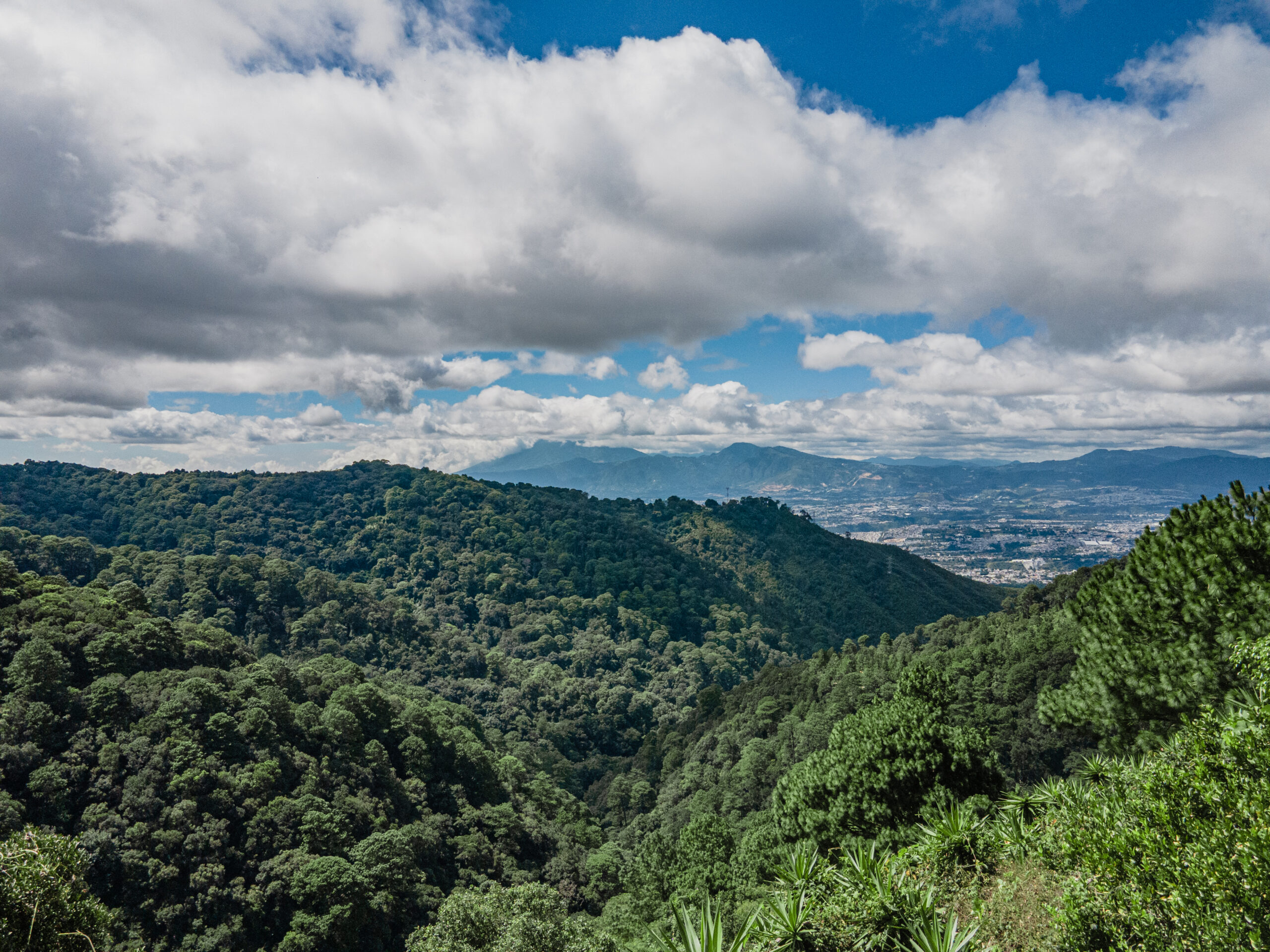 DJI_0756 copia_v02